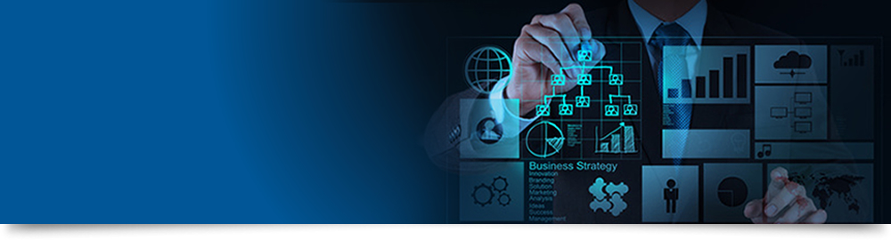 SAP PPM