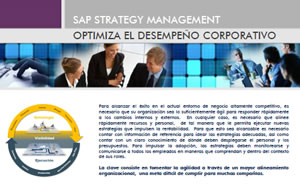 Pgs Global - soluciones de SAP, BusinessObjects y gestion de portafolio de proyectos 